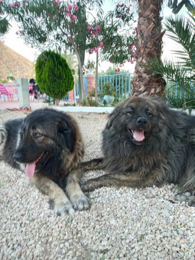 Recovery Mountain 2 Separate Beds In Room B&B Alicante Bagian luar foto