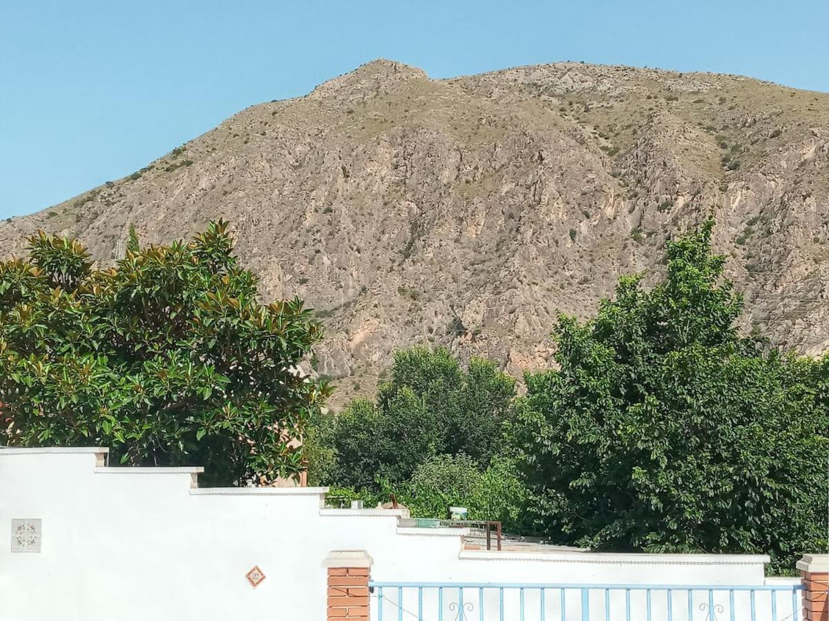 Recovery Mountain 2 Separate Beds In Room B&B Alicante Bagian luar foto